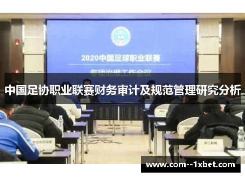 中国足协职业联赛财务审计及规范管理研究分析 中国足协职业联赛财务审计及规范管理研究分析
